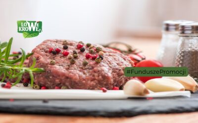 Każdy ma swoją wołowinę. Stek, burger, duszone, tatar – Polacy to lubią