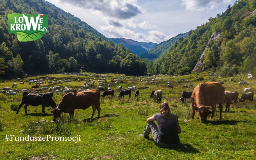 Bez krów nie ma łąk, żyznej gleby ani taniej energii